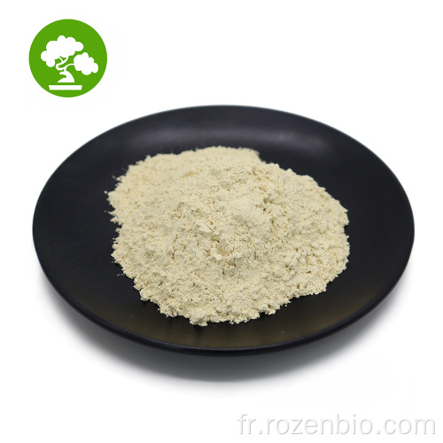 100% naturel Garcinia Cambogia Powder HCA